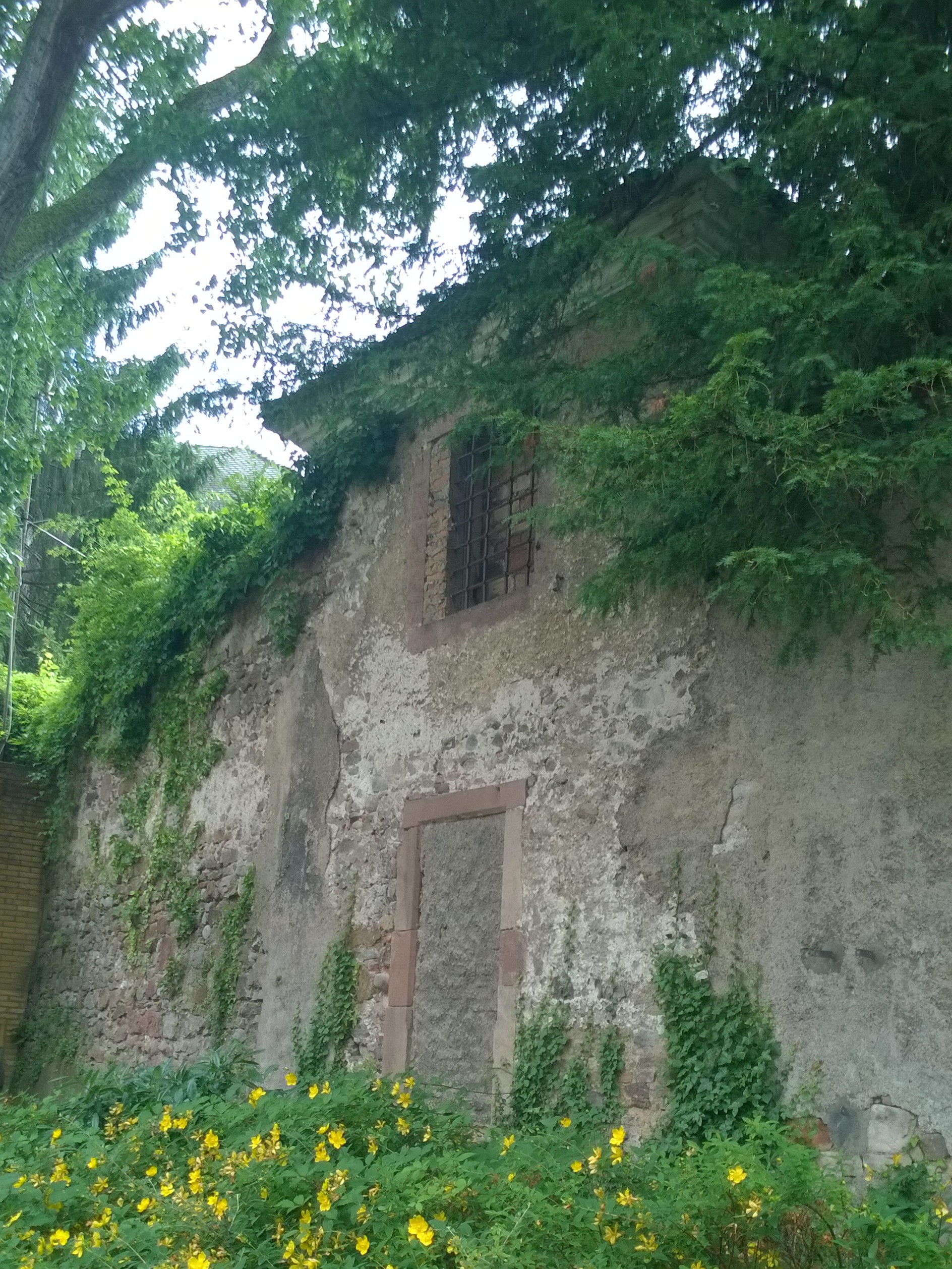 Dornroeschens Schloss